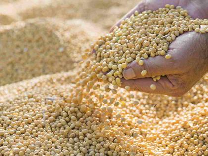 Farmers have run out of soybeans and now the prices have increased in the market! | शेतकऱ्यांकडील सोयाबीन संपले अन् आता बाजारात दर वाढले !