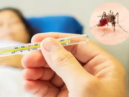 Dengue victim's case overturned, doctor relieved of duty, health assistant suspended | डेंग्यू बळीचे प्रकरण अंगलट, डॉक्टर कार्यमुक्त, आरोग्य सहायक निलंबित