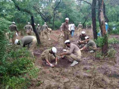 The state's forests are on the shoulders of only 981 RFOs. | केवळ ९८१ आरएफओंच्या खांद्यावर राज्याच्या वनांचा डोलारा The state's forests are on the shoulders of only 981 RFOs. | केवळ ९८१ आरएफओंच्या खांद्यावर राज्याच्या वनांचा डोलारा