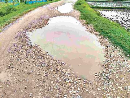 Aheri-Mahagaon road turned into a 'pond'! The mismanagement of the construction department exposed | अहेरी-महागाव रस्ता झाला 'तलाव'! बांधकाम विभागाचा भोंगळ कारभार उघड Aheri-Mahagaon road turned into a 'pond'! The mismanagement of the construction department exposed | अहेरी-महागाव रस्ता झाला 'तलाव'! बांधकाम विभागाचा भोंगळ कारभार उघड