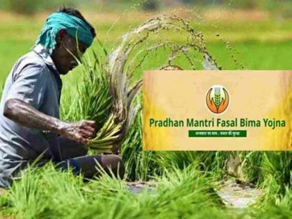 Farmers in Gadchiroli district turn to crop insurance; Number of farmers decreases four times | गडचिरोली जिल्ह्यातील शेतकऱ्यांची पीक विम्याला पाठ; चार पटीने घटली शेतकरी संख्या Farmers in Gadchiroli district turn to crop insurance; Number of farmers decreases four times | गडचिरोली जिल्ह्यातील शेतकऱ्यांची पीक विम्याला पाठ; चार पटीने घटली शेतकरी संख्या