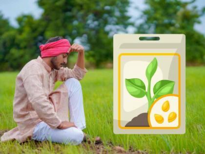 Ten percent increase in seed prices; Farmers in financial distress | बियाणांच्या दरात दहा टक्यांनी वाढ; शेतकऱ्यांची अर्थकोंडी Ten percent increase in seed prices; Farmers in financial distress | बियाणांच्या दरात दहा टक्यांनी वाढ; शेतकऱ्यांची अर्थकोंडी