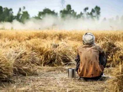 The number of farmer suicides is increasing again; A shocking incident in Bondgaondevi | शेतकऱ्याच्या आत्महत्येचा आकडा पुन्हा वाढतोय; बोंडगावदेवीत हळहळजनक घटना The number of farmer suicides is increasing again; A shocking incident in Bondgaondevi | शेतकऱ्याच्या आत्महत्येचा आकडा पुन्हा वाढतोय; बोंडगावदेवीत हळहळजनक घटना