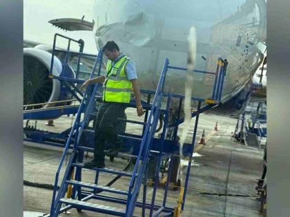 Bird hits plane; Pilot's quick action saves 272 passengers | पक्ष्याची विमानाला धडक; वैमानिकाच्या तत्परतेमुळे २७२ प्रवाशांचा जीव वाचला Bird hits plane; Pilot's quick action saves 272 passengers | पक्ष्याची विमानाला धडक; वैमानिकाच्या तत्परतेमुळे २७२ प्रवाशांचा जीव वाचला