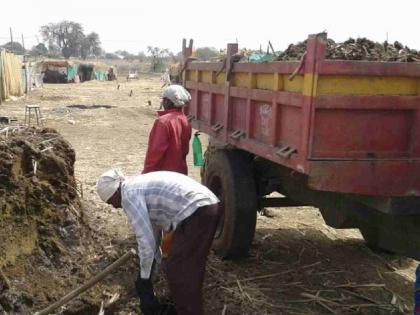 Five forest guards and two foresters suspended in 32 lakhs cow dung purchase scam | ३२ लाखांच्या शेणखत खरेदी घोटाळ्यात पाच वनरक्षकांसह दोन वनपाल निलंबित