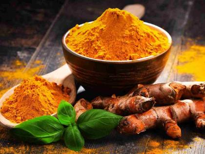 Turmeric from Waigaon (Haldya) in Wardha district will now go to Dubai! | वर्धा जिल्ह्यातील वायगाव (हळद्या) ची हळद जाणार आता दुबईला ! Turmeric from Waigaon (Haldya) in Wardha district will now go to Dubai! | वर्धा जिल्ह्यातील वायगाव (हळद्या) ची हळद जाणार आता दुबईला !