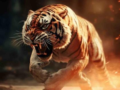 Husband tried to escape, but wife did not escape tiger attack; Mul taluka shaken | पतीने जीव तोडून ओढले, पण वाघाच्या हल्ल्यातून सुटली नाही पत्नी; मूल तालुका हादरला Husband tried to escape, but wife did not escape tiger attack; Mul taluka shaken | पतीने जीव तोडून ओढले, पण वाघाच्या हल्ल्यातून सुटली नाही पत्नी; मूल तालुका हादरला