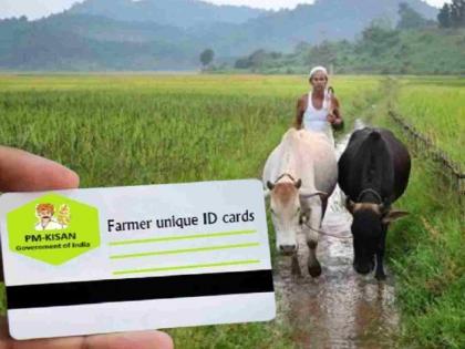 Three lakh farmers in seven districts out of process without Farmer ID | फार्मर आयडीविना सात जिल्ह्यांतील तीन लाख शेतकरी प्रक्रियेबाहेर Three lakh farmers in seven districts out of process without Farmer ID | फार्मर आयडीविना सात जिल्ह्यांतील तीन लाख शेतकरी प्रक्रियेबाहेर