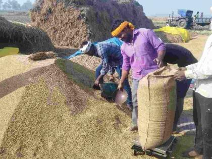 Farmers are worried due to the problem of limit at paddy procurement centers. | धान खरेदी केंद्रांवर लिमिटच्या अडचणीमुळे शेतकरी हवालदिल