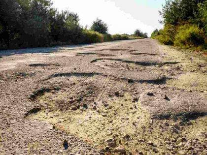 Roads in Palandur need Rs 3.90 crore in booster doses | पालांदुरातील रस्त्यांसाठी हवा ३.९० कोटी रुपयांचा बुस्टरडोस Roads in Palandur need Rs 3.90 crore in booster doses | पालांदुरातील रस्त्यांसाठी हवा ३.९० कोटी रुपयांचा बुस्टरडोस