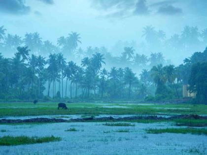 Monsoon will now be active on June 13th and 14th, but Nagpur residents will be disappointed. | मान्सून आता १३, १४ जूनलाच सक्रिय हाेईल पण नागपूरवासियांची हाेईल निराशा Monsoon will now be active on June 13th and 14th, but Nagpur residents will be disappointed. | मान्सून आता १३, १४ जूनलाच सक्रिय हाेईल पण नागपूरवासियांची हाेईल निराशा