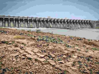 Only 51% water storage! Water situation in Yavatmal district is alarming | फक्त ५१% जलसाठा! यवतमाळ जिल्ह्यात पाण्याची स्थिती चिंताजनक