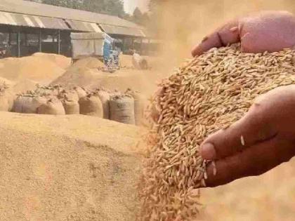 Who is saving the accused in the paddy purchase scam? Only two of the 21 accused were caught | धान खरेदी घोटाळ्यात आरोपींना वाचवतयं कोण? २१ आरोपी, पकडले फक्त दोन Who is saving the accused in the paddy purchase scam? Only two of the 21 accused were caught | धान खरेदी घोटाळ्यात आरोपींना वाचवतयं कोण? २१ आरोपी, पकडले फक्त दोन