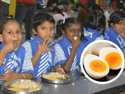 The government should tell us how students will get nutrition for just seven rupees. | सरकारनेच सांगावे, सात रुपयांमध्ये विद्यार्थ्यांना कशी मिळणार पोषण शक्ती ? The government should tell us how students will get nutrition for just seven rupees. | सरकारनेच सांगावे, सात रुपयांमध्ये विद्यार्थ्यांना कशी मिळणार पोषण शक्ती ?