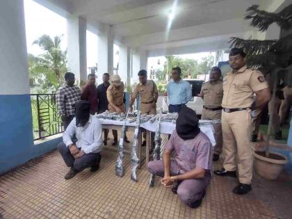 International arms smuggler arrested from Dehradun; smugglers' network on radar | देहरादून येथून आंतरराष्ट्रीय शस्त्रतस्कराला अटक; तस्करांचे माेठे नेटवर्क रडारवर International arms smuggler arrested from Dehradun; smugglers' network on radar | देहरादून येथून आंतरराष्ट्रीय शस्त्रतस्कराला अटक; तस्करांचे माेठे नेटवर्क रडारवर