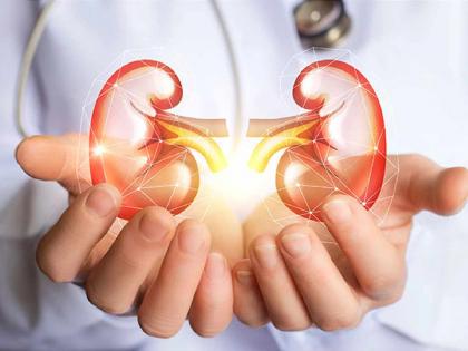 Only kidney transplants are available under the Jan Arogya Yojana, what should common people do for other organs? | जनआरोग्य योजनेत केवळ किडनी प्रत्यारोपण, इतर अवयवांसाठी सामान्यांनी करायचे काय ? Only kidney transplants are available under the Jan Arogya Yojana, what should common people do for other organs? | जनआरोग्य योजनेत केवळ किडनी प्रत्यारोपण, इतर अवयवांसाठी सामान्यांनी करायचे काय ?