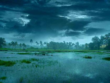 Relief from Ashadh showers across Vidarbha; Continuous rains in Nagpur since morning | विदर्भात सर्वदूर आषाढ सरींचा दिलासा; नागपूरकडे सकाळपासून संततधार Relief from Ashadh showers across Vidarbha; Continuous rains in Nagpur since morning | विदर्भात सर्वदूर आषाढ सरींचा दिलासा; नागपूरकडे सकाळपासून संततधार