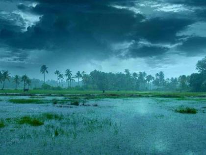 Vidarbha's rains have been dragged towards the northeast, monsoon in Vidarbha 10 days late? | ईशान्येकडे ओढला गेला विदर्भाचा पाऊस, विदर्भात मान्सून १० दिवस उशिराने? Vidarbha's rains have been dragged towards the northeast, monsoon in Vidarbha 10 days late? | ईशान्येकडे ओढला गेला विदर्भाचा पाऊस, विदर्भात मान्सून १० दिवस उशिराने?