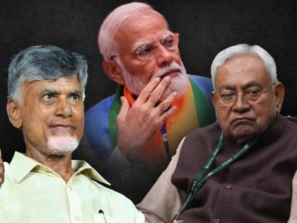 Lok Sabha Election Result 2024: The strength of the party is that BJP will need the support of allies to establish power  | भाजपाला बहुमताची हुलकावणी, सत्ता स्थापन करण्यासाठी लागेल मित्रपक्षांचा आधार, असं आहे पक्षीय बलाबल 