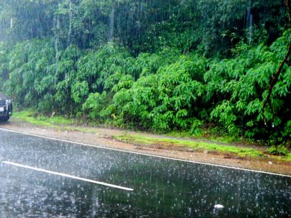 Heavy rain in Pune district Highest rainfall in Lonavala area is 241 mm | Lonavala Rain: पुणे जिल्ह्यात जोरदार पाऊस; लोणावळा परिसरामध्ये सर्वाधिक २४१ मिमी पाऊस