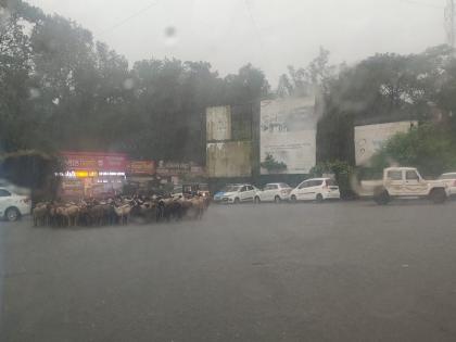 Heavy rain in Lonavala, Khandala area Pune Rain latest updates | Pune Rain : लोणावळा, खंडाळा परिसराला पावसाचा जोरदार तडाखा