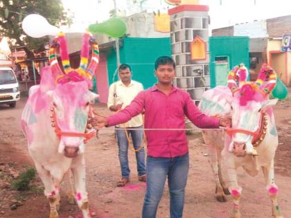 There are only eleven bulls left in the village | अख्या गावात उरल्या अवघ्या अकरा बैलजोड्या