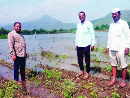 Damage Panchami works on Mission Mode | नुकसानीच्या पंचनाम्याची कामे मिशन मोडवर-- प्रशासन शेताच्या बांधावर;अतिवृष्टीबाधित क्षेत्राची पाहणी