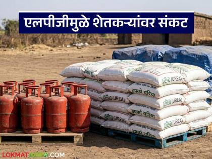 latest News LPG gas crisis urea production halved due to gas shortage, read in detail | शेतकऱ्यांची चिंता वाढवणारी बातमी, युरिया निर्मिती करणाऱ्या कारखान्यांना गॅसचा तुटवडा, वाचा सविस्तर latest News LPG gas crisis urea production halved due to gas shortage, read in detail | शेतकऱ्यांची चिंता वाढवणारी बातमी, युरिया निर्मिती करणाऱ्या कारखान्यांना गॅसचा तुटवडा, वाचा सविस्तर