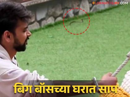 Bigg Boss OTT 3 Luv Kataria s tied hands and snake goes from behind Video viral | Bigg Boss OTT 3: लव कटारियाचा बांधून ठेवलेला हात, तोच मागून गेला साप; Video व्हायरल