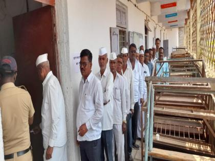 99 percent turnout in Neera Agricultural Income Market Committee elections | नीरा कृषी उत्पन्न बाजार समितीच्या निवडणुकीत ९९ टक्के मतदान