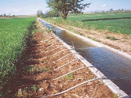 Rabbit Farmers Avoid Watering | रब्बीत शेतकरी पाण्यासाठी अनुत्सूक