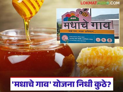latest news Madhache Gaon Yojana: 'Break' to 'Madhache Gaon' scheme; Funding for the first phase stalled | Madhache Gaon Yojana :'मधाचे गाव' योजनेला 'ब्रेक'; पहिल्या टप्प्यातील निधी रखडला वाचा सविस्तर latest news Madhache Gaon Yojana: 'Break' to 'Madhache Gaon' scheme; Funding for the first phase stalled | Madhache Gaon Yojana :'मधाचे गाव' योजनेला 'ब्रेक'; पहिल्या टप्प्यातील निधी रखडला वाचा सविस्तर