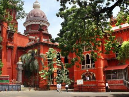 madras high court says there is no law like domestic violence act for husband to proceed against wife | Domestic Violence Act: “पुरुषांसाठी घरगुती हिंसाचारासारखा कायदा नाही, हे दुर्दैव”: मद्रास हायकोर्ट