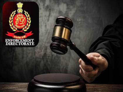 ED is not a drone or a supercop... Madras High Court slams ED's working style | ईडी कोणी ड्रोन नाही की सुपरकॉप नाही...मद्रास उच्च न्यायालयाचे ईडीच्या कार्यशैलीवर ताशेरे