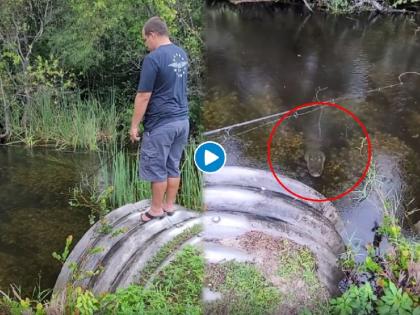 A crocodile suddenly appeared while fishing, watch the scary video | मासे पकडताना अचानक समोर आली मगरी, पाहा धडकी भरवणारा व्हिडिओ