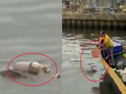 Humanity shown by the crocodile; body of boy who drowned in river was given to family, watch the video... | मगरीने दाखवली माणुसकी; नदीत बुडालेल्या मुलाचा मृतदेह कुटुंबीयांच्या स्वाधिन केला, पाहा Video...