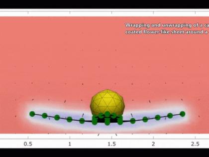 Researchers design sheet that wraps and creeps like Aladdin's magic carpet | एका अनोख्या चटईचा शोध, ती स्वत: चालते आणि आकारही बदलते!