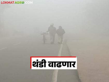 Big change in weather in North India; Will cold weather start again in the state from 'this' date? | उत्तर भारतातील हवामानात मोठे बदल; राज्यात 'या' तारखेपासून पुन्हा थंडी सुरु होणार? Big change in weather in North India; Will cold weather start again in the state from 'this' date? | उत्तर भारतातील हवामानात मोठे बदल; राज्यात 'या' तारखेपासून पुन्हा थंडी सुरु होणार?