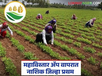 Latest News Mahavistar App Nashik farmers' digital farming using Mahavistar AI app, know in detail | नाशिकच्या शेतकऱ्यांची महाविस्तार एआय ॲप वापरून डिजिटल शेती, जाणून घ्या सविस्तर Latest News Mahavistar App Nashik farmers' digital farming using Mahavistar AI app, know in detail | नाशिकच्या शेतकऱ्यांची महाविस्तार एआय ॲप वापरून डिजिटल शेती, जाणून घ्या सविस्तर