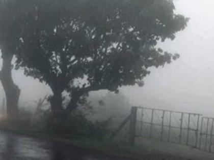 Rainfall in western parts of Satara district; Attendance at Navaja, Mahabaleshwar | सातारा जिल्ह्यात पश्चिम भागात पाऊस; नवजा, महाबळेश्वरला हजेरी