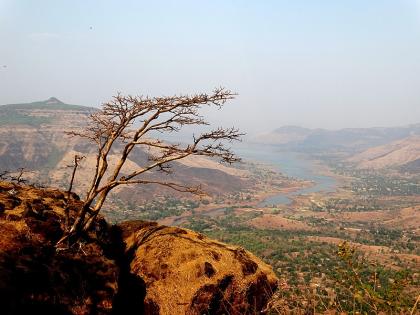 one fell into a valley in mahabaleshwar pratapgad ghat road success in evacuation of mahabaleshwar trekkers | महाबळेश्वर-प्रतापगड घाटरस्त्यावर एकजण दरीत कोसळला! महाबळेश्वर ट्रेकर्सच्या जवानांना बाहेर काढण्यात यश