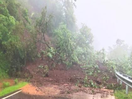 Heavy rains in Mahabaleshwar; landslides continue in Ambenali Ghat, Lingamala waterfall closed for tourism | Satara: महाबळेश्वरमध्ये मुसळधार पाऊस; आंबेनळी घाटात दरडचे सत्र सुरू, लिंगमळा धबधबा पर्यटनासाठी बंद Heavy rains in Mahabaleshwar; landslides continue in Ambenali Ghat, Lingamala waterfall closed for tourism | Satara: महाबळेश्वरमध्ये मुसळधार पाऊस; आंबेनळी घाटात दरडचे सत्र सुरू, लिंगमळा धबधबा पर्यटनासाठी बंद