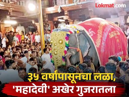 Villagers shed tears as they finally bid farewell to the elephant 'Mahadevi'; A people gathered in Nandani, Kolhapur | Mahadevi Elephant: अखेर 'महादेवी' हत्तीणीला निरोप देताना गावकऱ्यांना अश्रू अनावर; नांदणीत लोटला जनसागर Villagers shed tears as they finally bid farewell to the elephant 'Mahadevi'; A people gathered in Nandani, Kolhapur | Mahadevi Elephant: अखेर 'महादेवी' हत्तीणीला निरोप देताना गावकऱ्यांना अश्रू अनावर; नांदणीत लोटला जनसागर