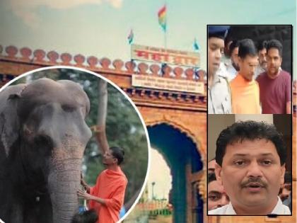 Now a legal battle for the Mahadevi elephant of Nandani Math Guardian Minister Prakash Abitkar gave information after a discussion between the CEO of Vanatara and the Mathadhis | महादेवी हत्ती परत येणार?, वनतारा सीईओंसोबतच्या बैठकीतून मठाचे महास्वामी बाहेर पडले, नेमकं काय घडलं.. वाचा Now a legal battle for the Mahadevi elephant of Nandani Math Guardian Minister Prakash Abitkar gave information after a discussion between the CEO of Vanatara and the Mathadhis | महादेवी हत्ती परत येणार?, वनतारा सीईओंसोबतच्या बैठकीतून मठाचे महास्वामी बाहेर पडले, नेमकं काय घडलं.. वाचा