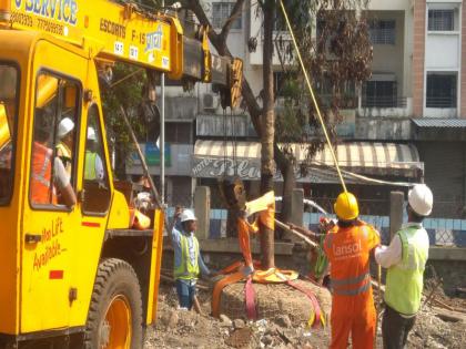 Transplanting trees in the premises of Vallabh nagar ST stand; Initiatives of Maha metro Project Officer | वल्लभनगर एसटी आगाराच्या आवारात वृक्षांचे पुनर्रोपण; महामेट्रो प्रकल्प अधिकाऱ्यांचा पुढाकार