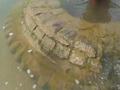 500 year old Odisha temple submerged under Mahanadi river reappears | महानदीत बुडालेलं ५०० वर्षांपूर्वीचं ६० फुटी मंदिर सापडलं