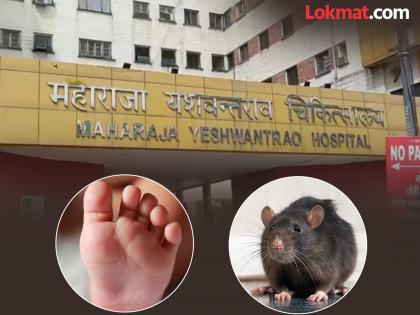 Rat bites, two newborn babies die; Incident at government hospital in Madhya Pradesh | उंदीर चावले, दोन नवजात बाळांचा मृत्यू; मध्य प्रदेशातील शासकीय रुग्णालयातील घटना Rat bites, two newborn babies die; Incident at government hospital in Madhya Pradesh | उंदीर चावले, दोन नवजात बाळांचा मृत्यू; मध्य प्रदेशातील शासकीय रुग्णालयातील घटना