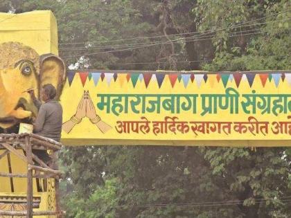 Extension to Maharaj Bagh Zoo for one year | महाराज बाग प्राणिसंग्रहालयाला पुन्हा वर्षभराची मुदत