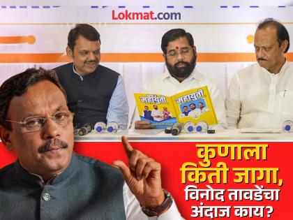 maharashtra assembly election 2024 prediction vinod tawde bjp shiv sena ncp ajit pawar maha vikas Aghadi | अजित पवार २० ते २५ जागा जिंकतील, तर भाजप...; विनोद तावडेंनी सांगितला आकडा