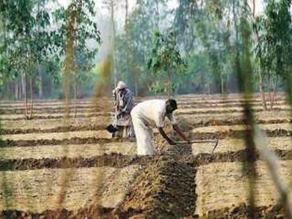 जमीन संपादन भरपाईचे परिपत्रक रद्द; शेतकऱ्यांना मोठा दिलासा, हायकोर्टाचा राज्य सरकारला दणका - Marathi News | Land acquisition compensation circular cancelled; Big relief to farmers, High Court hits state government | Latest News at Lokmat.com